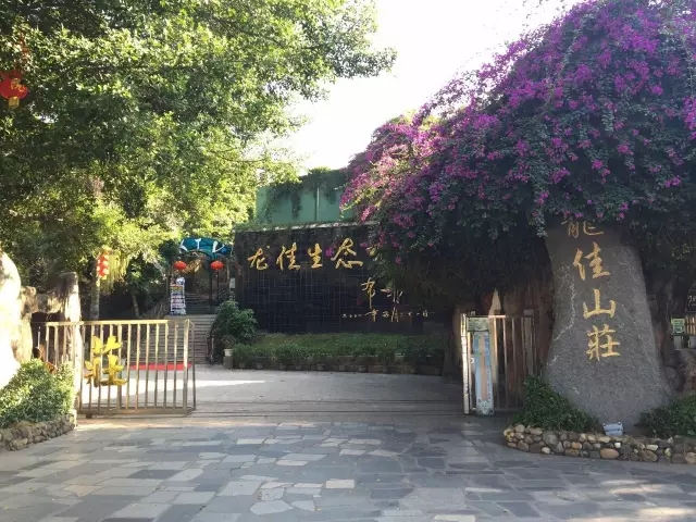 龙佳生态园